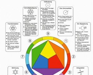 organisation_process